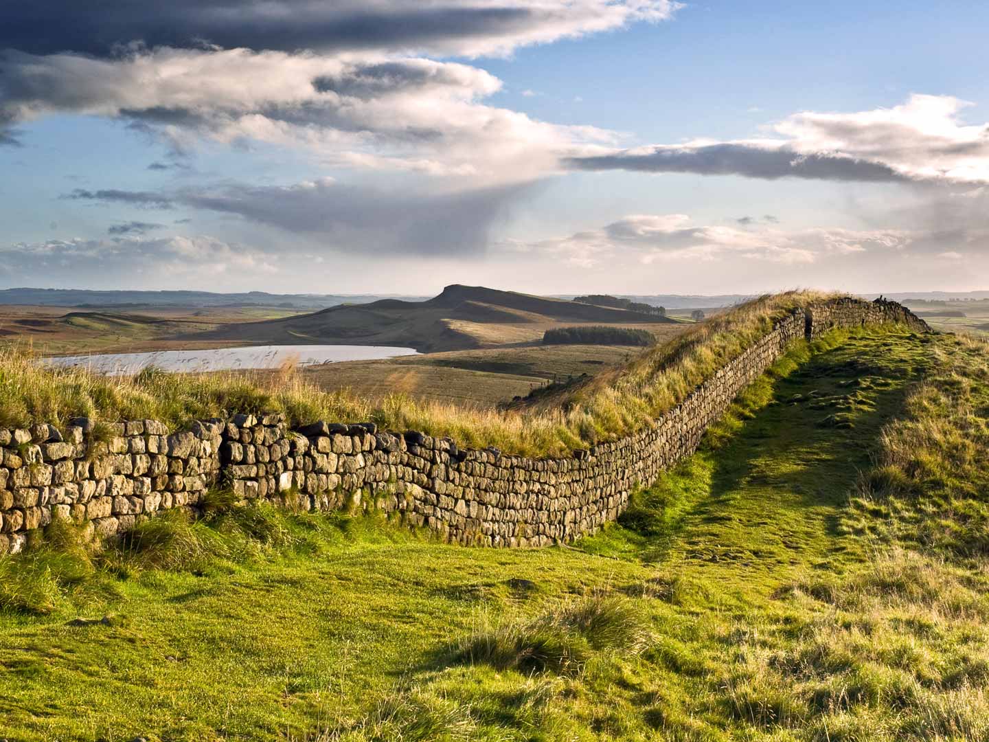 Background photo by Joan Thirlaway https://www.redbubble.com/people/aftertherain/portfolio